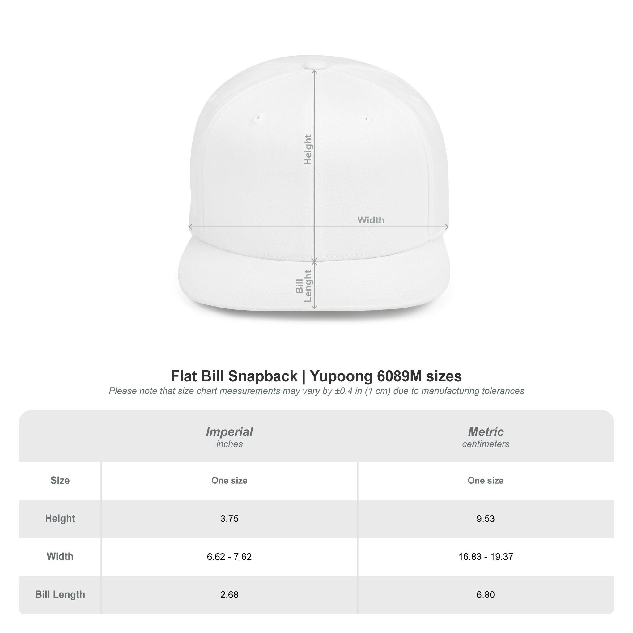 Flat Bill "OET" Snapback Hat — Blue Lion Logo Streetwear Cap